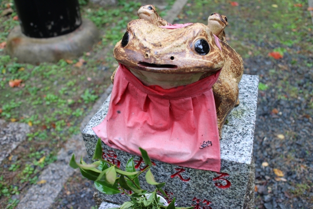 kamidanomi kaeru