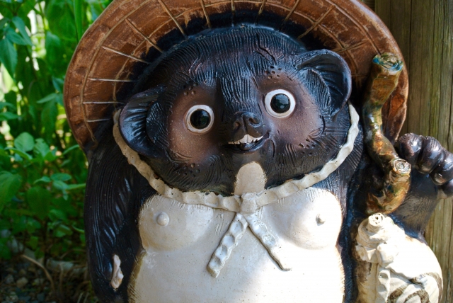 kamidanomi tanuki