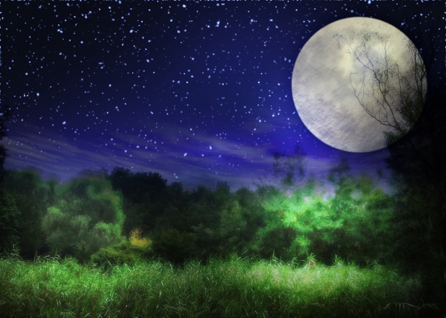 tanteinikki Mystery Genre SF