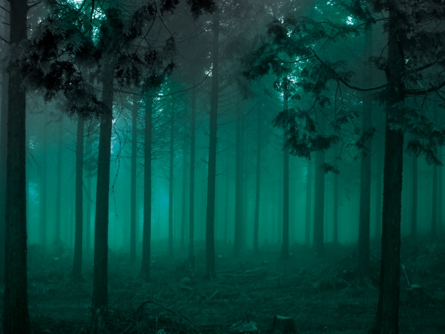 tanteinikki Mystery Genre horror