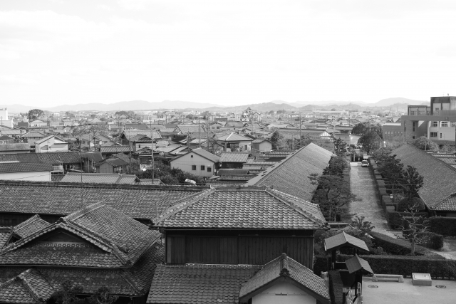 tanteinikki Mystery Genre rekishi