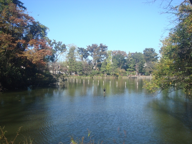 tanteinikki kinunjinjya eifukucho