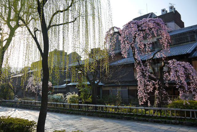 tanteinikki kinunjinjya gion