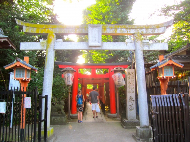 tanteinikki kinunjinjya hanazonoinari