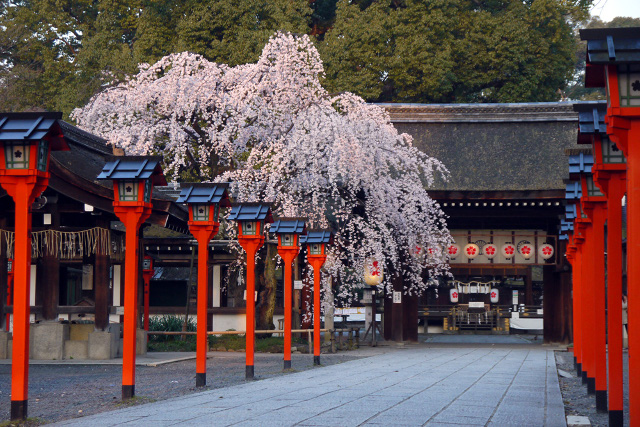 tanteinikki kinunjinjya hiranojinjya