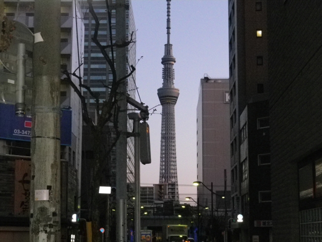 tanteinikki kinunjinjya kameido