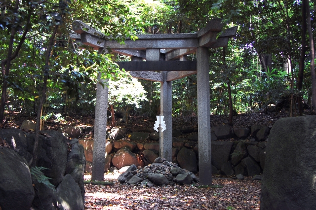 tanteinikki kinunjinjya konoshimajinjya torii