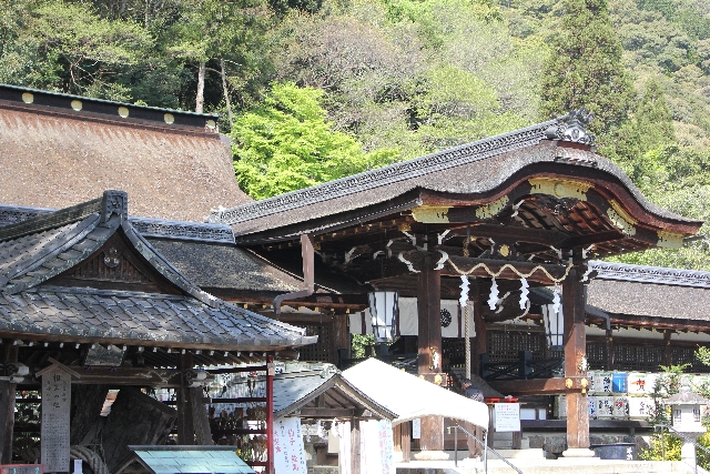 tanteinikki kinunjinjya matsuotaisya