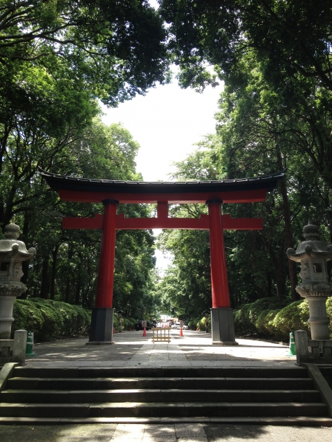 tanteinikki kinunjinjya oomiyahachiman