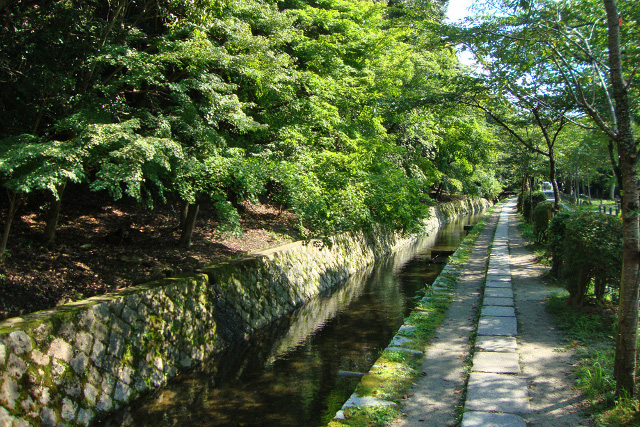 tanteinikki kinunjinjya shishigatani