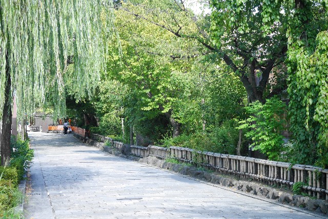 tanteinikki kinunjinjya sijyokarasuma