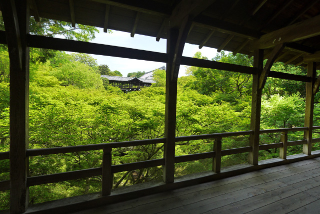 tanteinikki kinunjinjya toufukuji