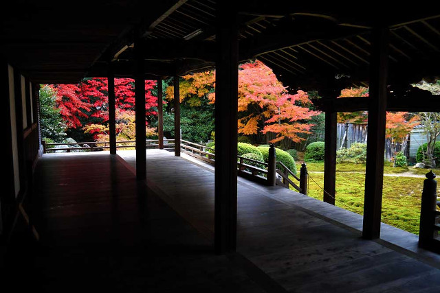 tanteinikki kinunjinjya yamashina