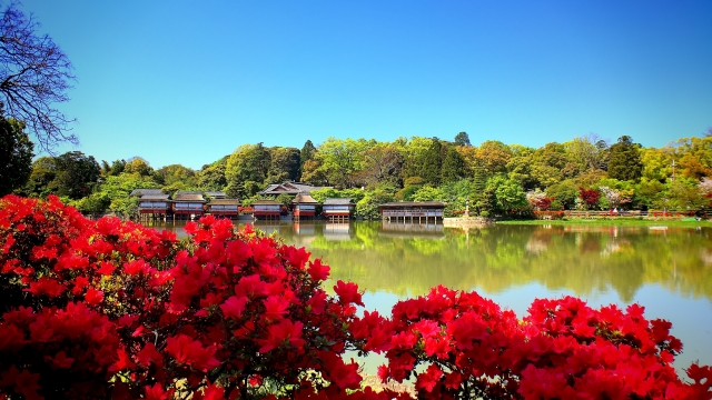 tanteinikki kinunjinjya nagaokatenjin1