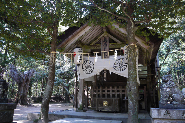 tanteinikki kinunjinjya manaijinjya02