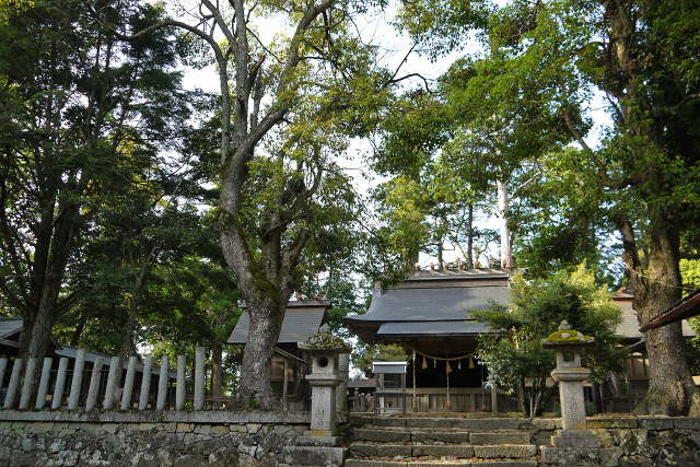 tanteinikki kinunjinjya motoise geku