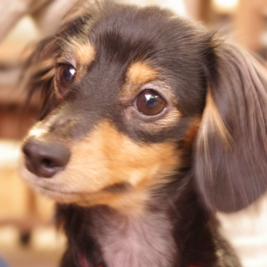 【1976年（昭和51年）】ヒット曲年間ランキングBEST100 のんびり探偵の回想