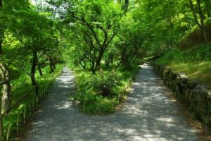 【九星が表す象意のキーワードを解読】1番効果的な気学実践