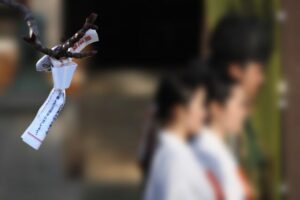 【東京新宿～早稲田】金運をもたらす神社4社をのんびり散歩