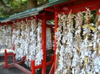 【東京湯島～秋葉原】金運をもたらす神社3社をのんびり散歩
