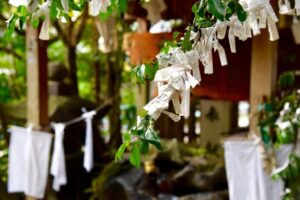 【東京出世稲荷巡り】金運をもたらす神社8社をのんびり散歩