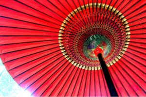 【京都東寺～竹田】金運をもたらす神社3社をのんびり散歩