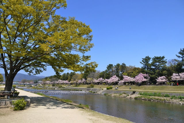 京都御所の周辺にて運気をアップ！大人のための開運神社散歩