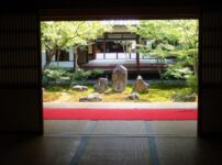 【京都伏見稲荷～東福寺】金運を導く神社4社をのんびり散歩