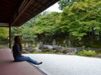 【京都山科～伏見桃山】金運を導く神社4社をのんびり散歩