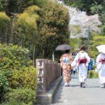 京都の嵯峨野周辺で運気をアップ！大人のための開運神社散歩