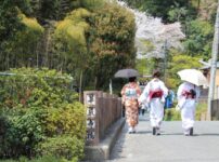 【京都嵯峨野～保津峡】金運を導く神社4社をのんびり散歩