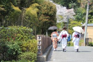 【京都嵯峨野～保津峡】金運を導く神社4社をのんびり散歩
