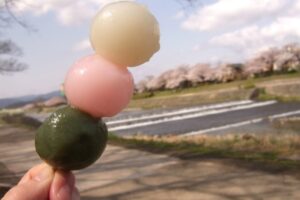【京都上賀茂～一乗寺】金運を導く神社3社をのんびり散歩