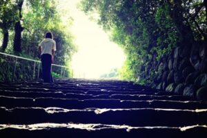 【京都福知山～舞鶴】金運をもたらす神社3社をのんびり散歩