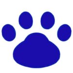 アイコン（ブルー484ピクセル角）