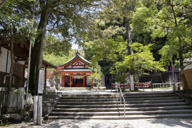 【無料おみくじ】10種類の運勢で今日の運勢を占う