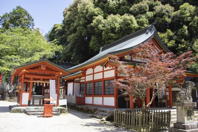 【無料おみくじ】21種類の運勢で今週の運勢を占う