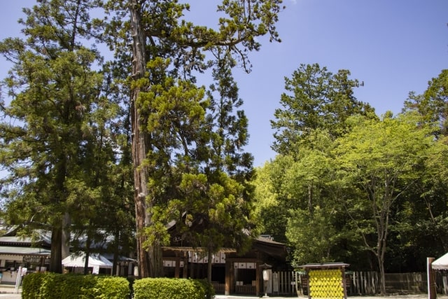 【無料おみくじ】21種類の運勢で今年の運勢を占う