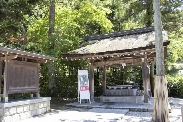 【無料おみくじ】10種類の運勢で今週の運勢を占う