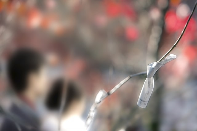 【無料おみくじ】21種類の運勢でYes-Noを占う