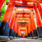 朱の鳥居が続く伏見稲荷の参道（京都の金運神社を“昔ながらの縁”で巡るやさしい散歩）