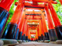 朱の鳥居が続く伏見稲荷の参道（京都の金運神社を“昔ながらの縁”で巡るやさしい散歩）