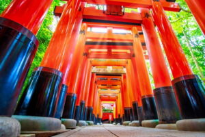 朱の鳥居が続く伏見稲荷の参道（京都の金運神社を“昔ながらの縁”で巡るやさしい散歩）